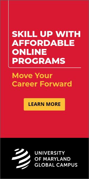 Skills Based (Sidebar 300x600, 090326)