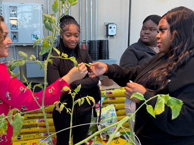 Morgan State University Greenhouse Grows Health and Sustainability